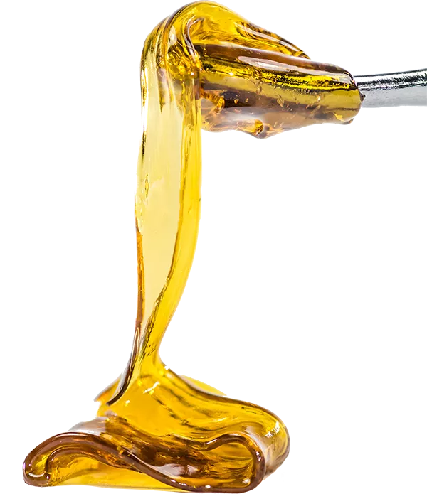 Concentrate 2 68f1211725949