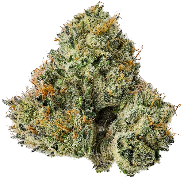 Flower 68f11fc6cbc88